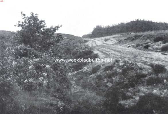 Gelderland, 1920, Hatert, Het Hatertsche Vennenland. Het Wijchensche weggetje