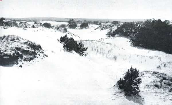 Gelderland, 1921, Otterloo, Terra incognita. Zandverstuiving nabij Otterloo