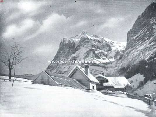 Zwitserland, 1921, Onbekend, Winter bij den Wetterhorn