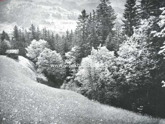 Onbekend, 1921, Onbekend, Voorjaar in het bergland