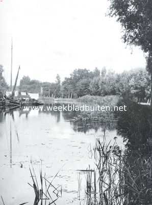 Nederland, 1921, Onbekend, Een boomrijk plekje in het polderland