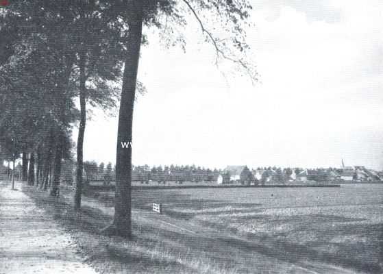 Een vergeten eiland. Bij Oud-Vosmeer