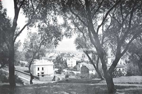 Frankrijk, 1921, Ajaccio, Ajaccio. Kijkje door de olijfboomen van de Monte Salario op de stad