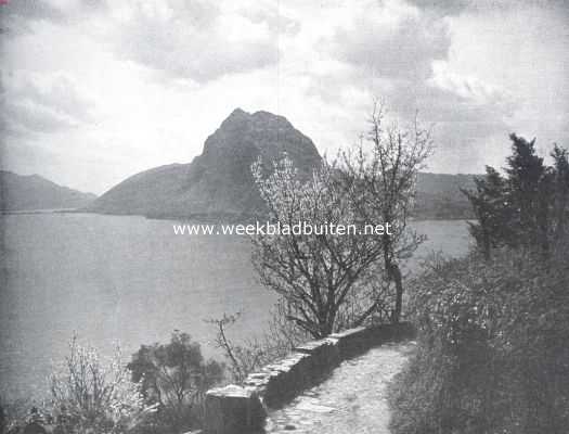 Zwitserland, 1921, Onbekend, Bloeiende struiken aan het Meer van Lugano