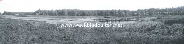 Overijssel, 1921, Saasveld, Het Molenven te Saesveld bij Borne. Dit mooie plekje zal eerstdaags publiek verkocht worden. Moge het niet in handen van ontginners komen en zijn schoonheid verliezen