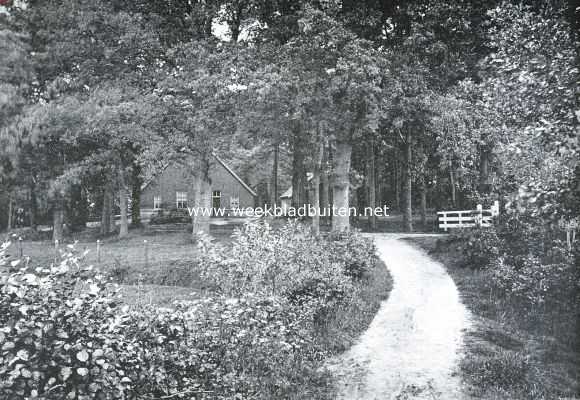 Overijssel, 1921, De Lutte, In het bosch bij de Lutte