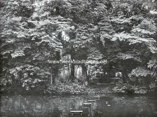 Gelderland, 1921, Velp, Een lommerrijk plekje in het park van Biljoen
