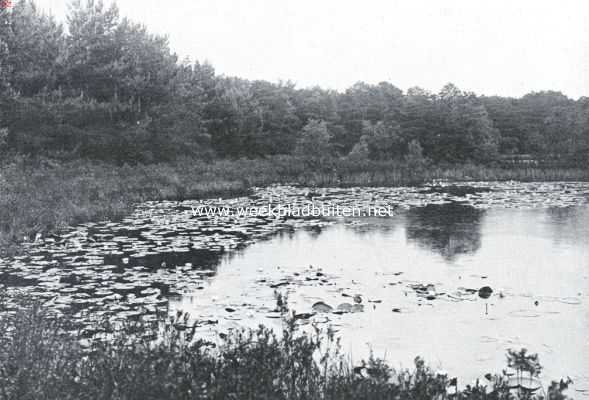 Noord-Brabant, 1921, Sint-Michielsgestel, Het Reigersven op het landgoed Zegenwerp