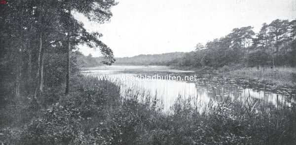 Noord-Brabant, 1921, Sint-Michielsgestel, Het Haagsche Ven op Zegenwerp