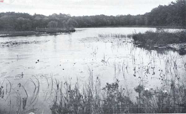 Noord-Brabant, 1921, Sint-Michielsgestel, Het Paulina-Ven op Zegenwerp