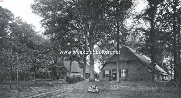 Boerderijen op Zegenwerp