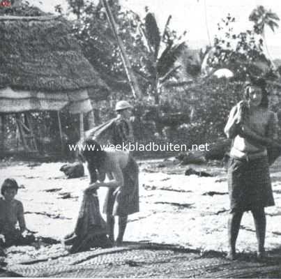 Het drogen van de katoen bij Apia, Samoa-groep