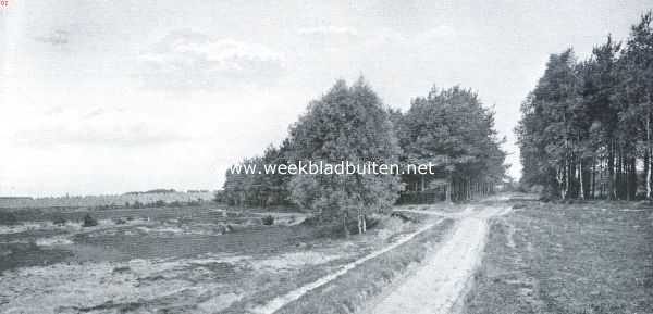 Overijssel, 1921, Onbekend, Een uithoek van Twente. Bosch en hei en akkerlanden