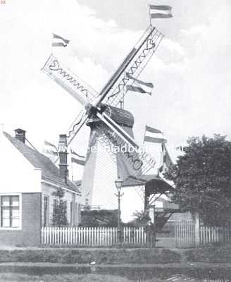 Noord-Holland, 1922, Onbekend, Versierde houtzaagmolen (Paltrok)