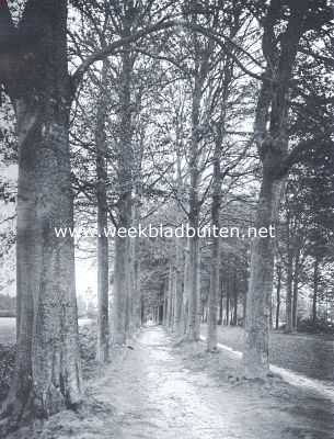 Noord-Brabant, 1922, Ginneken, Laan bij het kasteel Bouvigne te Ginneken