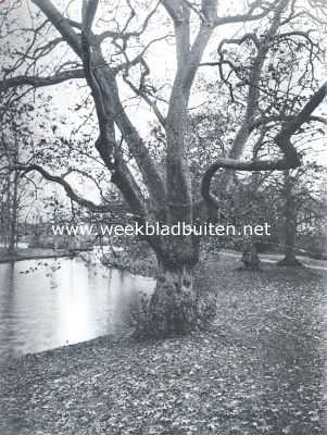 Noord-Holland, 1922, Heemstede, In het park van 