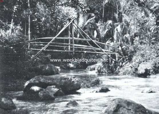 Onbekend, 1922, Onbekend, Het bamboe en zijn toepassingen. Een bamboebrug