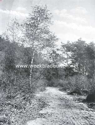 Onbekend, 1922, Onbekend, Herfst in het bosch