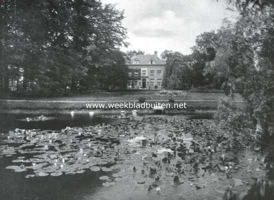 Gezicht uit het park op den achtergevel van het Huis Morren