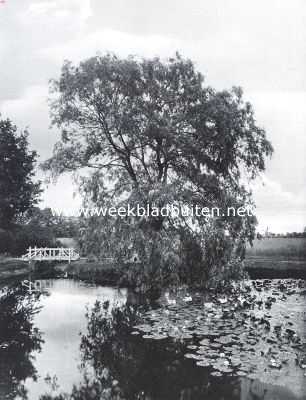 Gelderland, 1922, Elburg, Vijver achter het Huis Morren bij Elburg