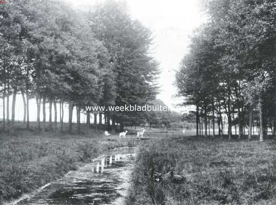 Gelderland, 1922, Winterswijk, Natuurschoon om Winterswijk. Langs den Ratumschen Straatweg