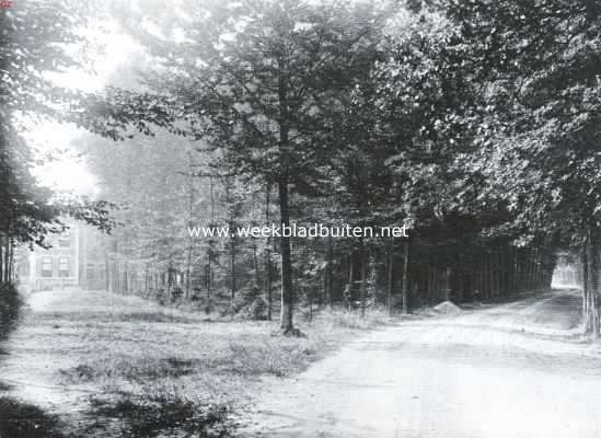 Gelderland, 1922, Woold, Natuurschoon om Winterswijk. In de buurtschap Woold