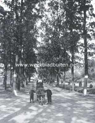 Laan voor Huize Morren nabij Elburg