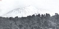 Miniatuurfoto