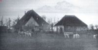 Miniatuurfoto