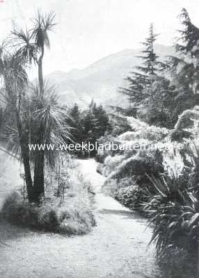 Zwitserland, 1923, Onbekend, De St. Lger-eilanden in het Lago-Maggiore. In het park