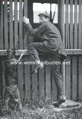 Onbekend, 1923, Onbekend, Een verhinderde vlucht