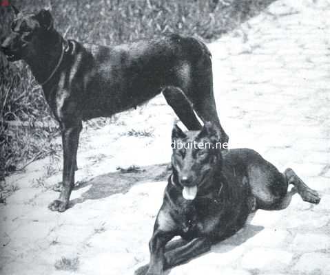 Onbekend, 1923, Onbekend, Verboden toegang. Twee parkwachters