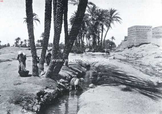 Marokko, 1923, Marrakech, Fransch-Marokko. Beekje bij Marakech