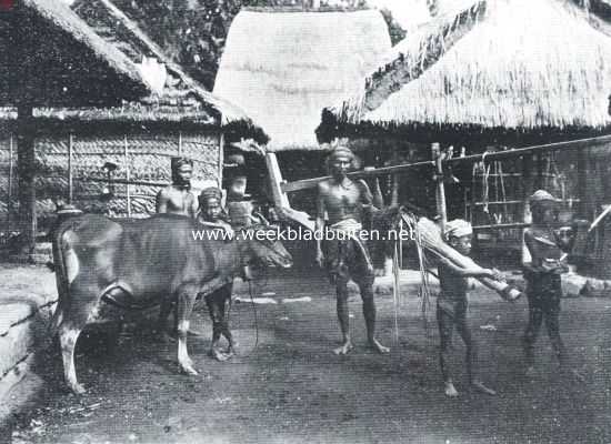 Indonesi, 1923, Onbekend, Op weg naar de sawah