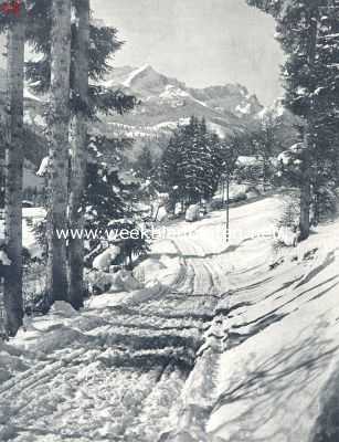 Winter in het bergland. Boschweg bij Partenkirchen