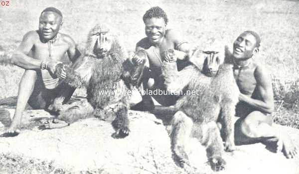 Afrika, 1924, Onbekend, De bewoners van Oost-Afrika. Hoe ik wilde dieren levend gevangen heb. Een vroolijk gezelschap Oost-Afrikaners