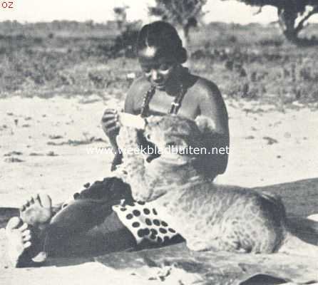 Afrika, 1924, Onbekend, De bewoners van Oost-Afrika. Een leeuwtje van drie maanden, uit de flesch drinkend
