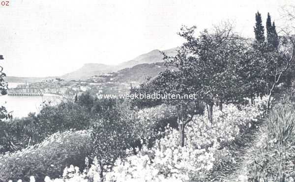 Frankrijk, 1924, Onbekend, Tropische plantengroei aan de Riviera. Bloemenweelde, met uitzicht op de Middellandsche Zee