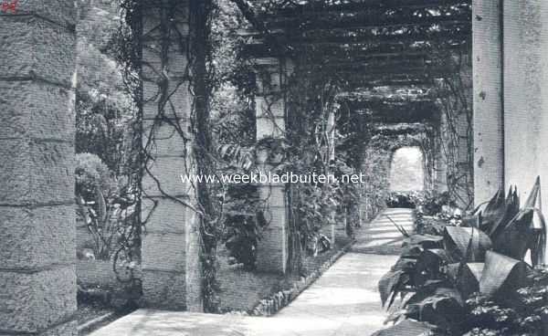 Frankrijk, 1924, Onbekend, Tropische plantengroei aan de Riviera. Pergola bij het huis