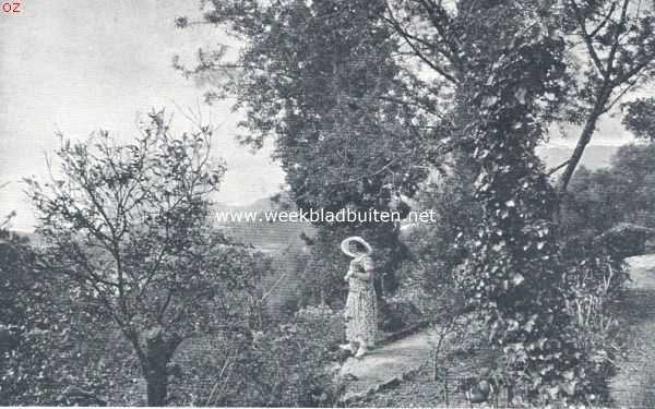 Frankrijk, 1924, Onbekend, Tropische plantengroei aan de Riviera. Een romantisch hoekje van den tuin