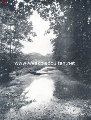 Gelderland, 1924, Elburg, Het huis Zwaluwenburg bij Elburg. De slotgracht ten westen van het huis.