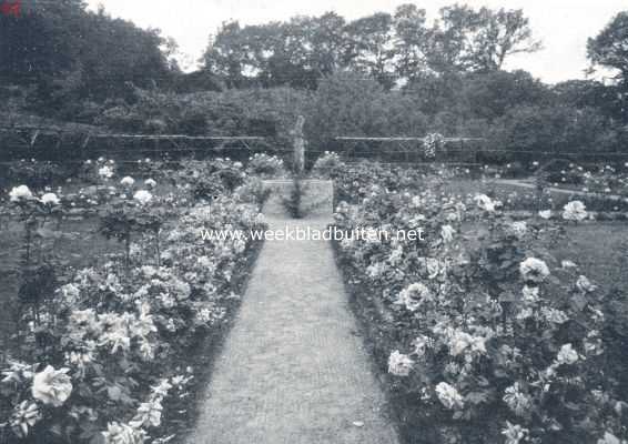 Het huis Zwaluwenburg bij Elburg. Rosarium bij het huis Zwaluwenburg