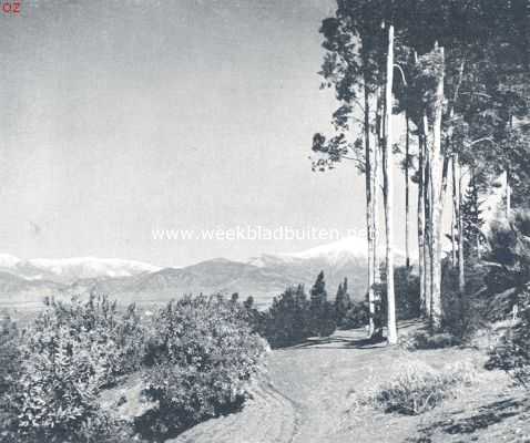 Amerika, 1924, San Bernardino, Bij San Bernardino in Californi. Op den achtergrond de besneeuwde toppen van de Sierra Nevada