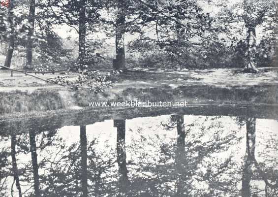Nederland, 1924, Onbekend, Herfst aan den vijver