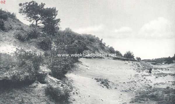 Noord-Brabant, 1924, Onbekend, De Drunensche Duinen. Een haag opgestoven zand