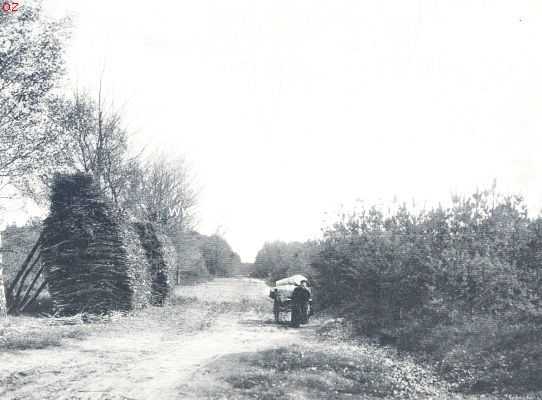 November op de Veluwe.