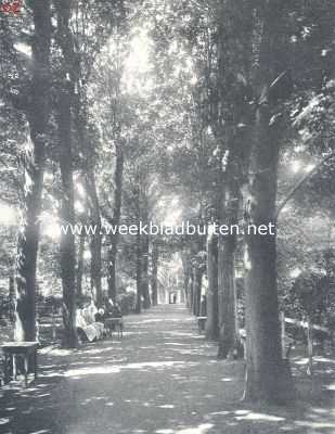 Noord-Holland, 1924, Amsterdam, In den tuin van het Diakonie Oude Vrouwen- en Mannenhuis te Amsterdam