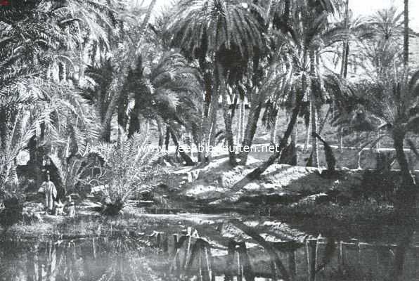 Tunesi, 1925, Nefta, Een sproke-land. De Djerid (Zuid-Tunesi). In de groote oase bij Nefta