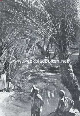 Tunesi, 1925, Nefta, Een sproke-land. De Djerid (Zuid-Tunesi). In de oase bij Nefta