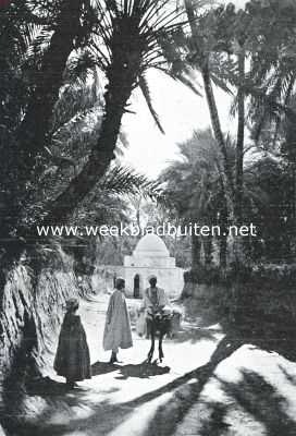 Tunesi, 1925, Nefta, Een sproke-land. De Djerid (Zuid-Tunesi). Oasis met moskee van Sidi Bonali bij Nefta